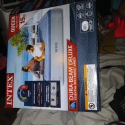 Intex 