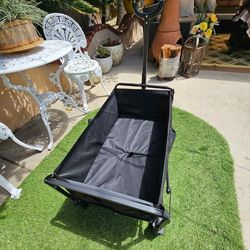 Folding  Wagon small