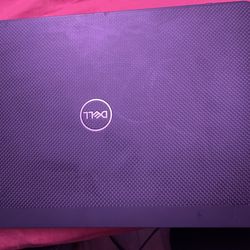Dell Latitude 7300