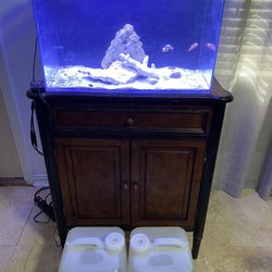 Empty 30 Gallon built In Filter  Fish Tank JUST TANK