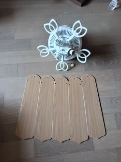 Ceiling Fan
