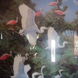 Flamencos Decoración 