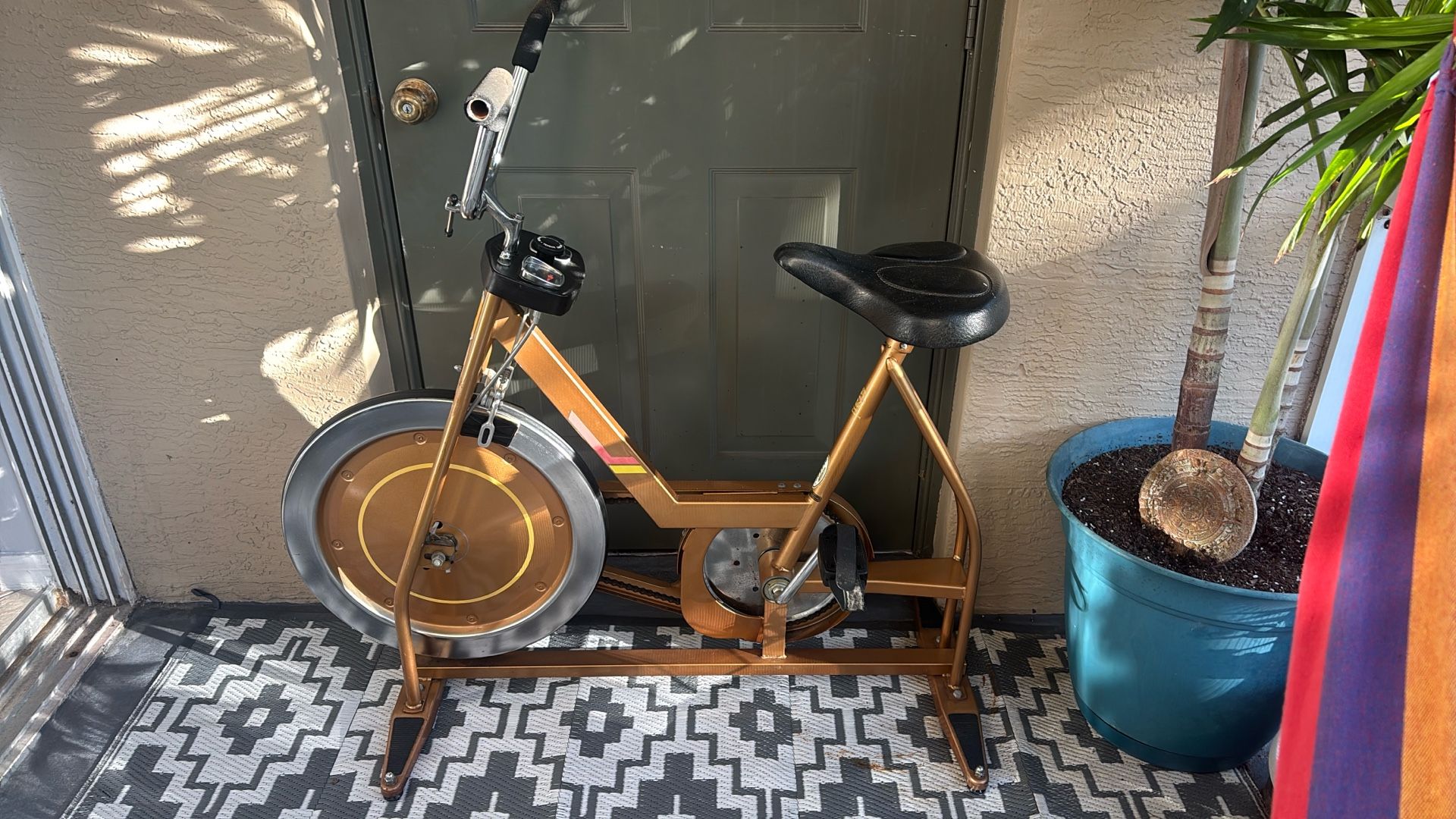 antique Exercise Bike