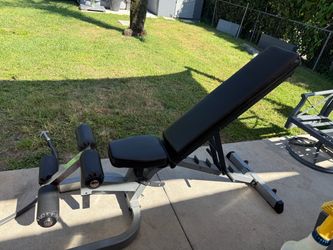 Weight Bench