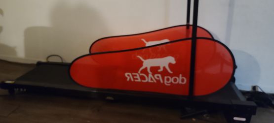 dogpacer treadmill