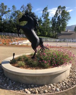 Metal Horse Statue