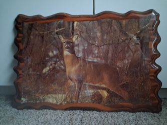 Nice deer picture
