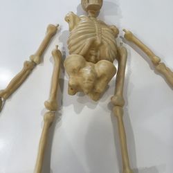 Hanging Skeleton  Blow Mold