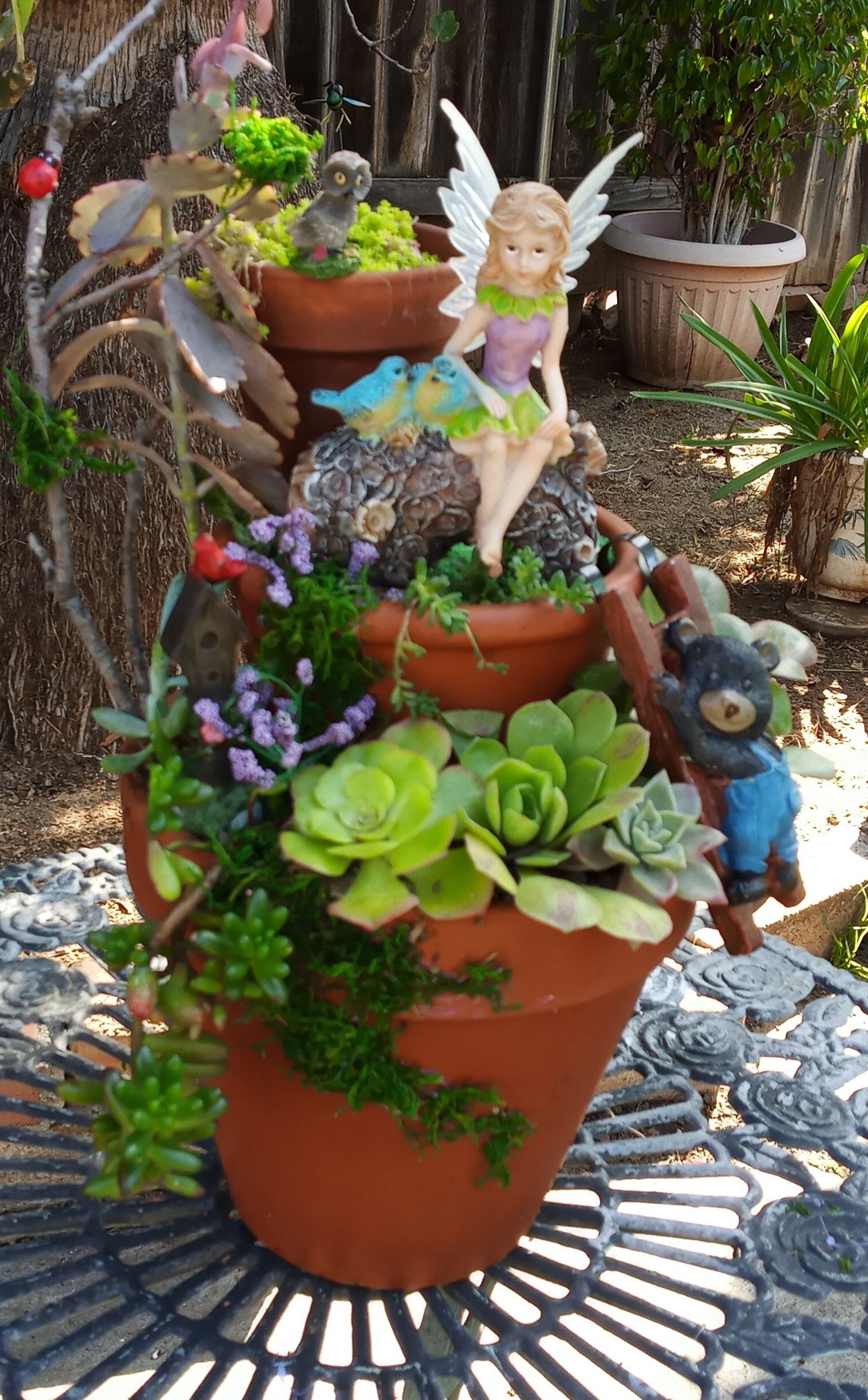 Fairy garden, succulent plants, clay pots