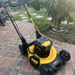 Dewalt Lawns 