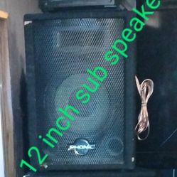 Phonic 12 Inch Speaker