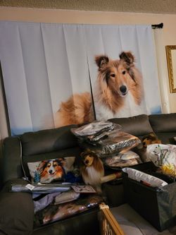 Black Out Curtains With Collie Dog Image Brand New Width 80 Length 72 Bought At Ebay For $90 Will Sell For $50
