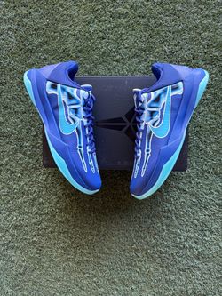 Kobe 5 Xray