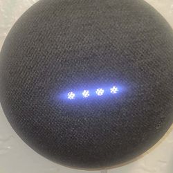 Google nest assistance  speaker