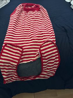 Dog recovery suit
