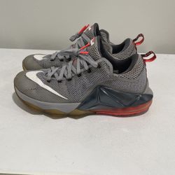 Nike Lebron 12 Wolf Grey for Sale in Elkins Park PA OfferUp