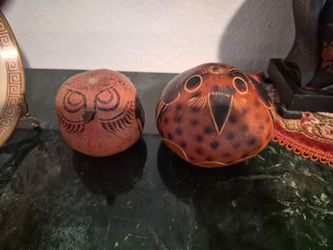 Owl Gourds