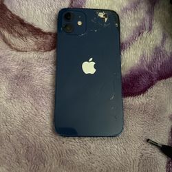 iPhone 12 Mini Broke Back case But Nothing Wrong With It 