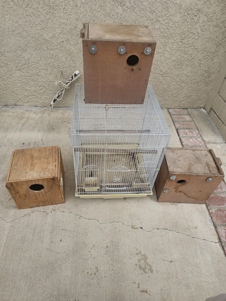 Bird Cage