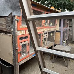 Cages For Birds 