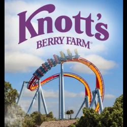 Knotts 4 Pack. Expire TODAY JUNE 13
