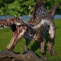 Spinosaurus Tooth!