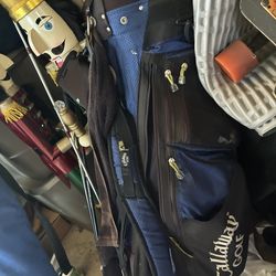 Bag Of Assorted Right Hand Golf Clubs