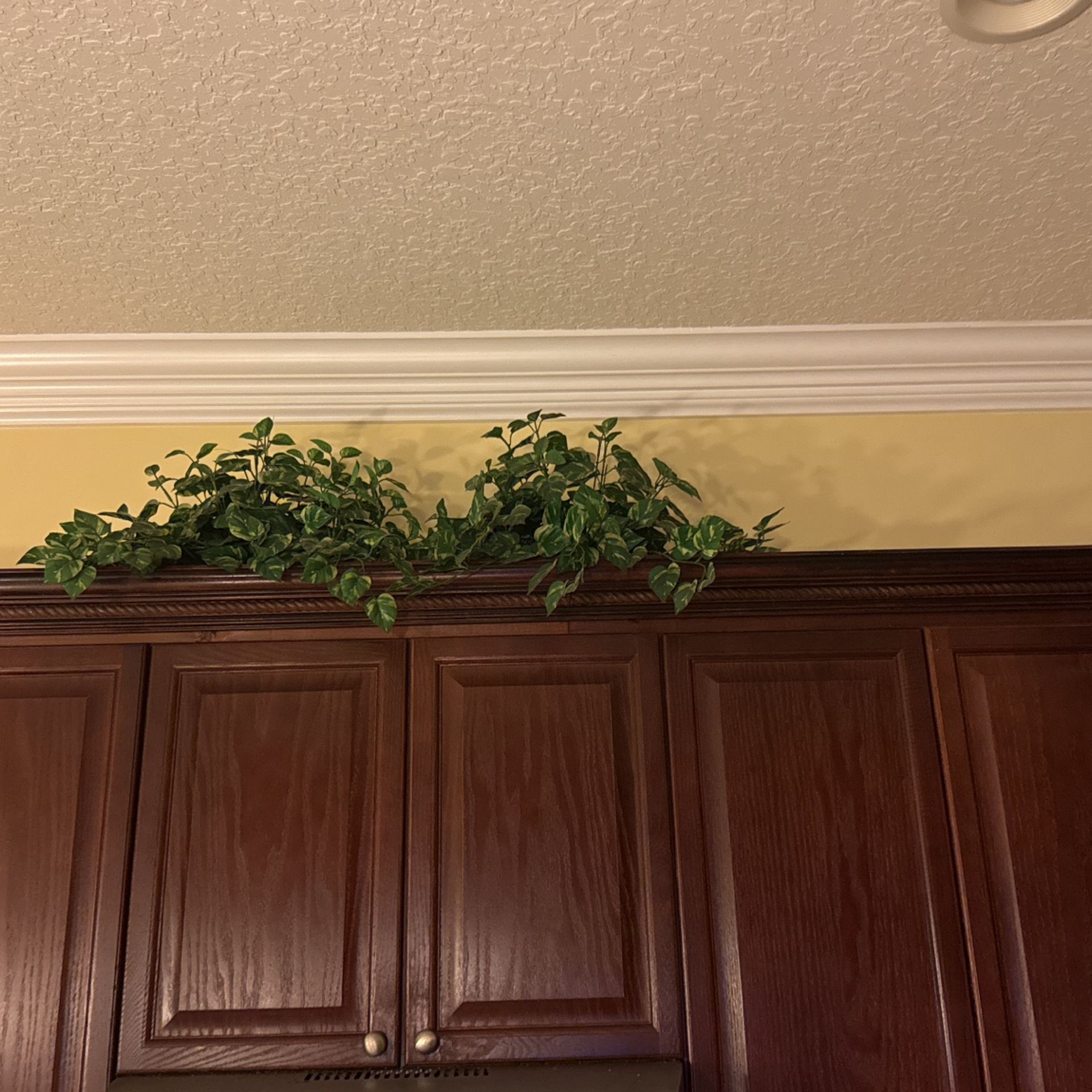 Greenery