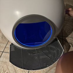Automatic Litter Box