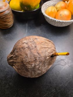 Sprouted coconut!