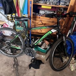 Chwinn Mountain Bike 