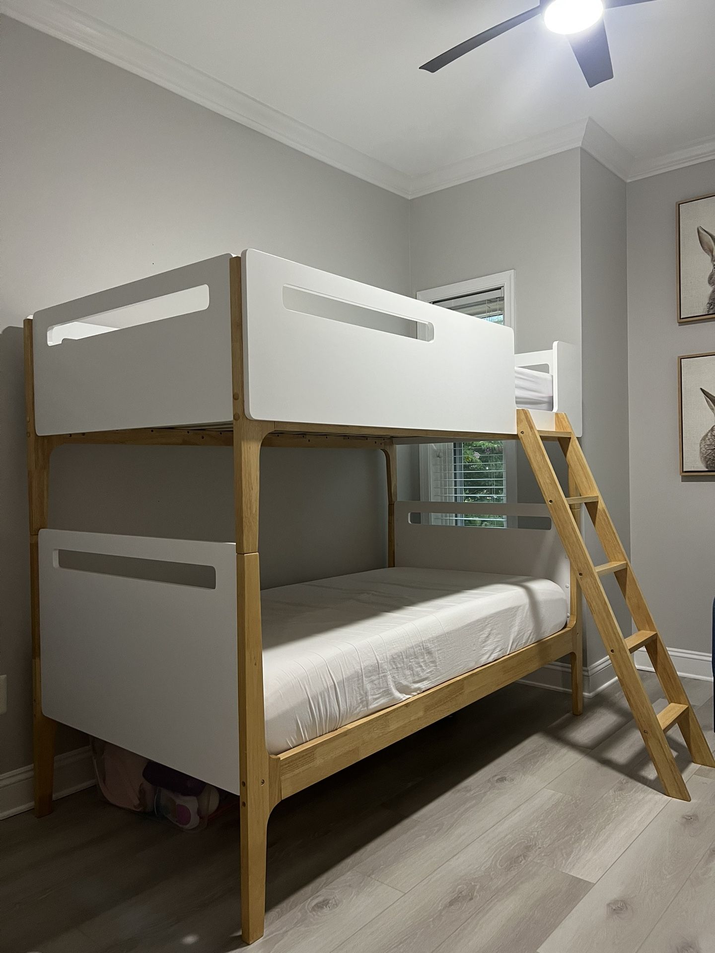 Modern Wooden Bunk Bed