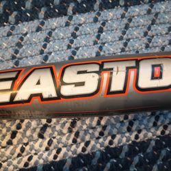 Easton Baseball Bat