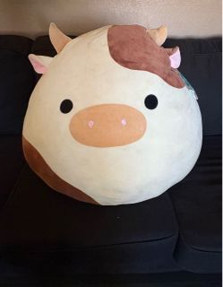 squishmallow