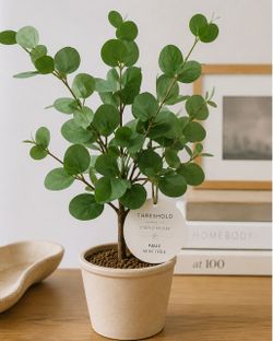 Threshold x Studio McGee Faux Mini Tree