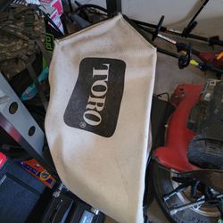Toro 22