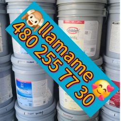 Paint For Sale 