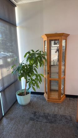 Solid Oak Curio Cabinet