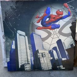 Spider-Man Frame