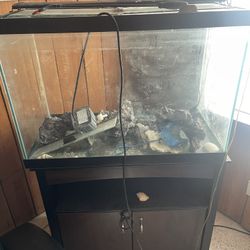 Fish Tanks And Supplies