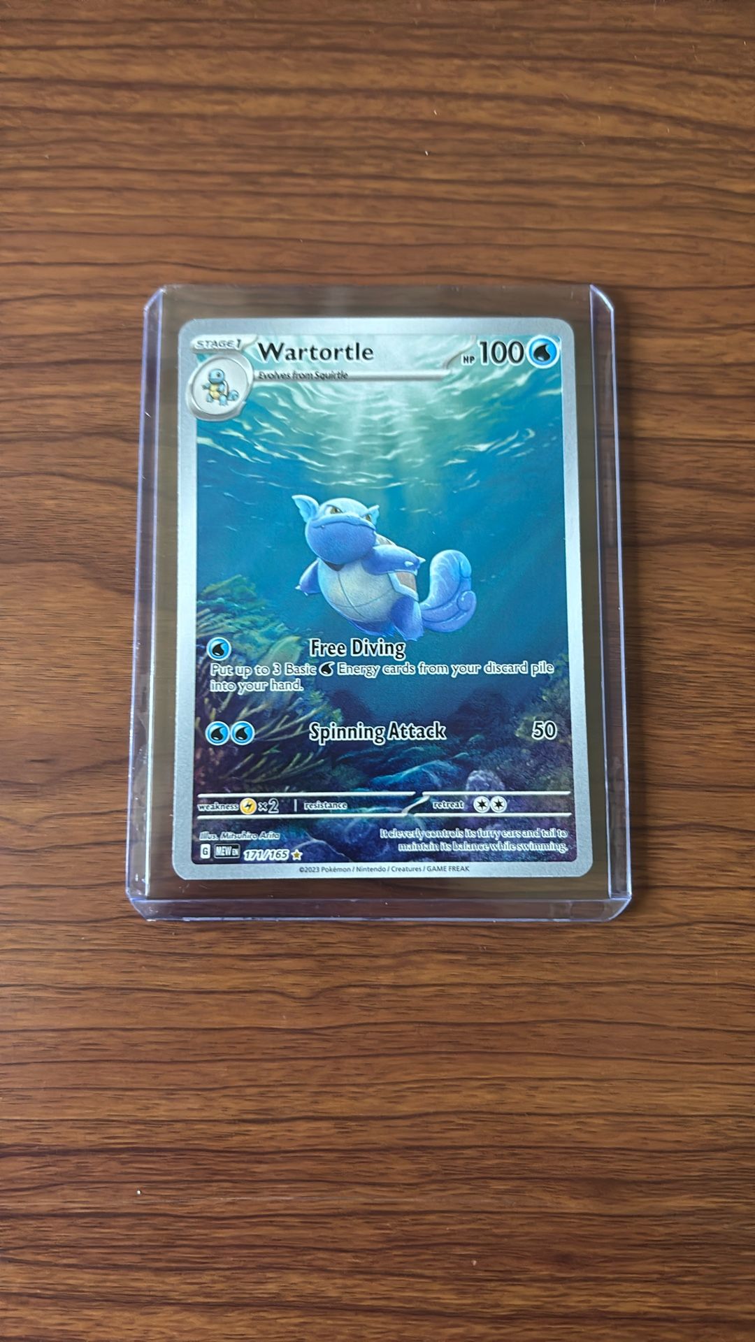 Pokemon Wartortle IR