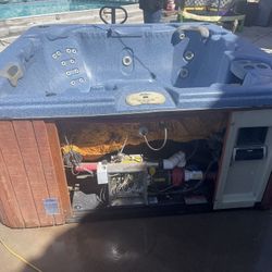 Cal Spa Jacuzzi 