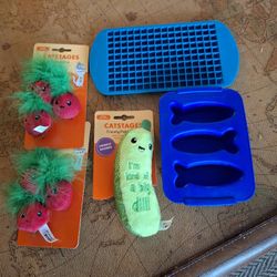 Cat Toys & Accessories 