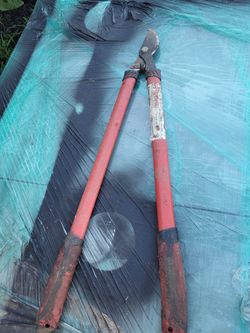  Branch cutters