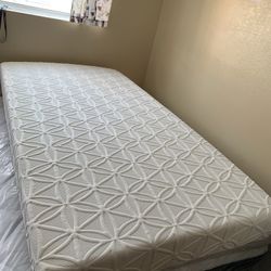 Foam Twin Mattress