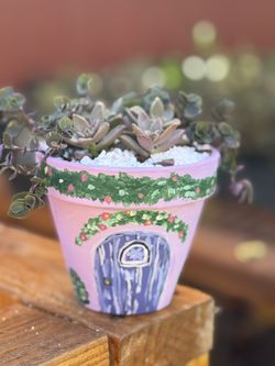 Succulent