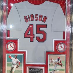 Cardinals Bob Gibson Signed,  JSA-Certified,  Deluxe-Framed Jersey 