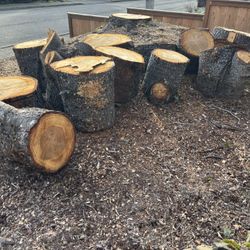 Firewood Rounds-Free