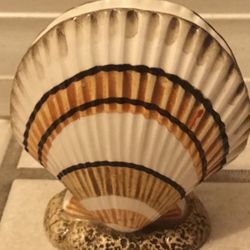 Shell Salt Shaker 