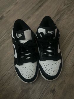 Nike Dunks size 5.5y